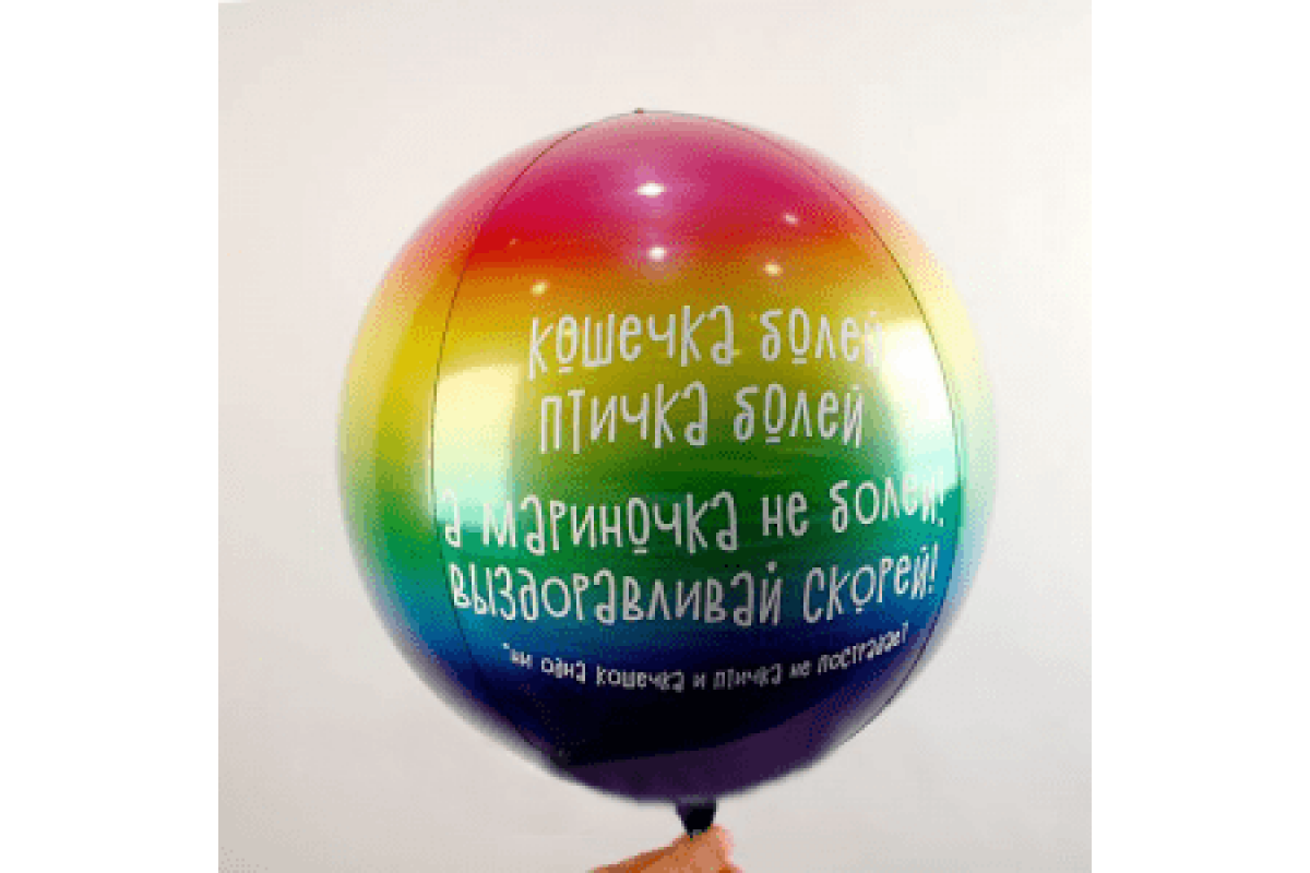 Шар (51 см) Сфера 3D Кошечка болей, птичка болей 1 шт.