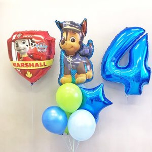 Набор шаров "Отважный Чейз"