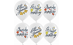 Шар (12''/30 см) С Днем Знаний, Белый, пастель, 2 ст, 1 шт.